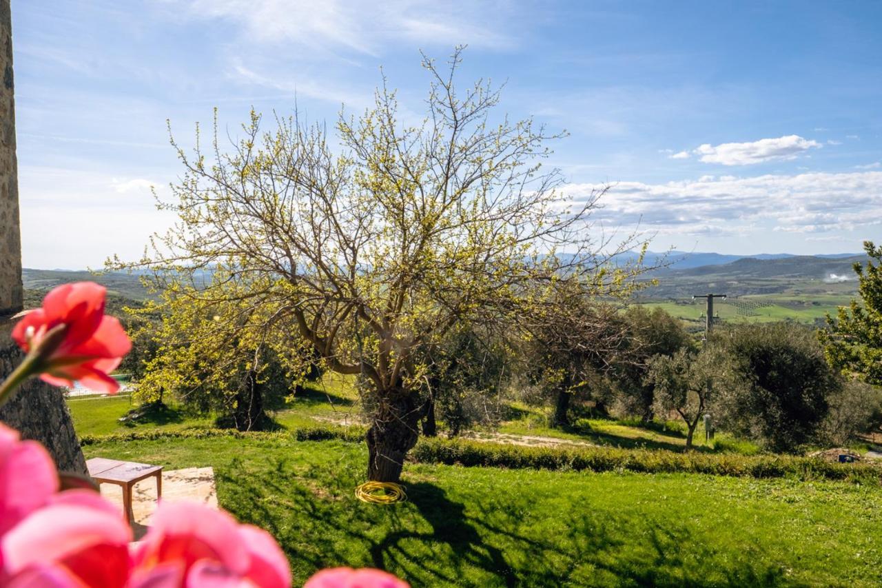 Podere Montale Il Borgo Seggiano Buitenkant foto
